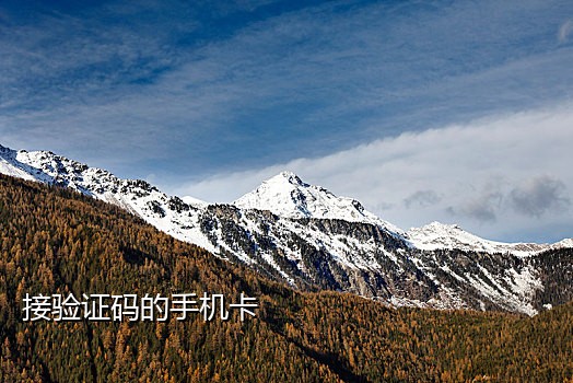 抖音接码注册卡
