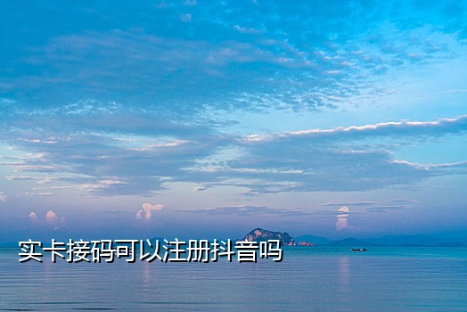 抖音接码商