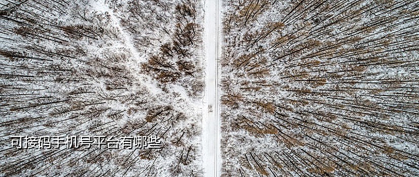 北美手机号接码