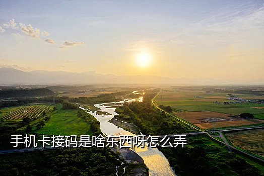 绑定手机号接码