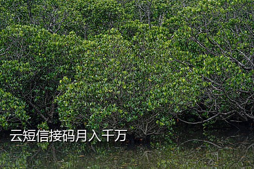 安卓手机接验证码会怎么样