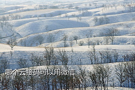 微信接码邦卡