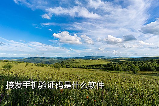 微信激活验证码 接码