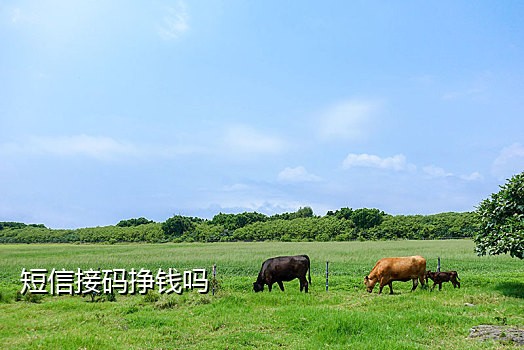 luckincoffee手机接码
