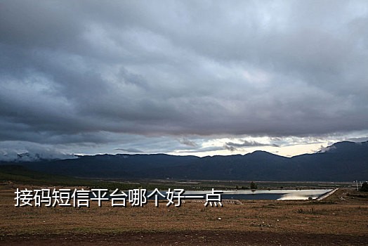 ios手机接码平台吗