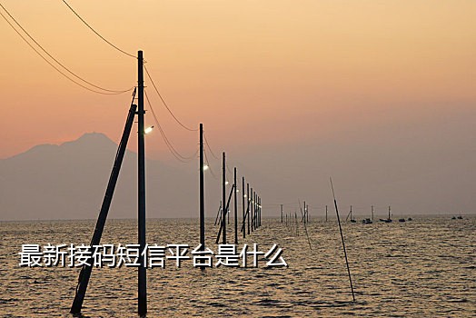 2023短信接码平台