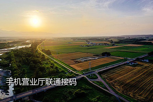 2017接码平台手机版