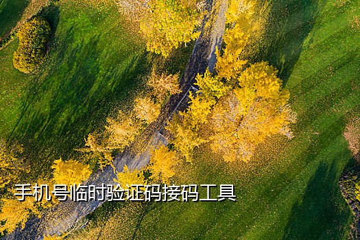 139接码短信平台