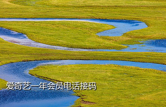 最全短信接码平台