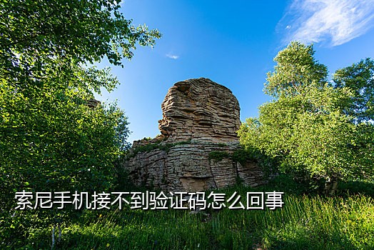 注册淘宝接什么码