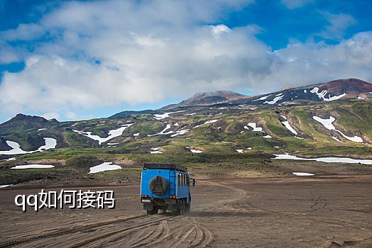 指定短信接码