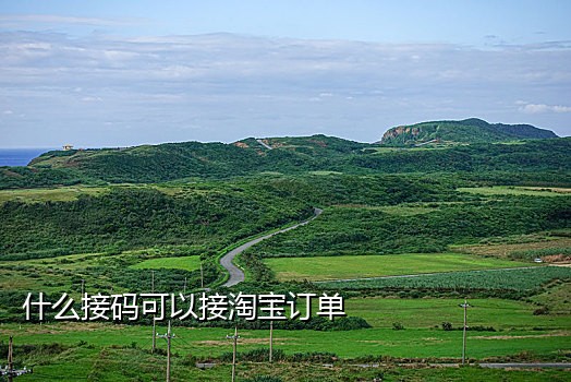 支付宝接码号什么样的