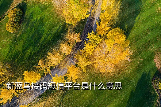 微信2次接码