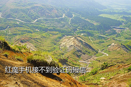 支付宝白号接码平台