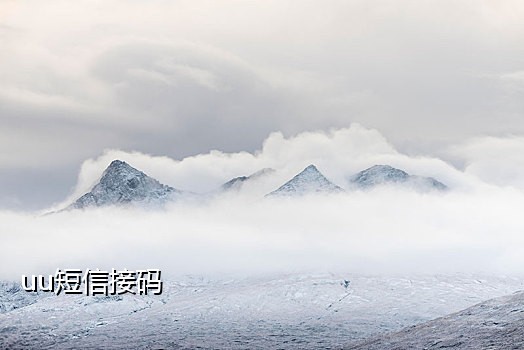 支持ios的手机接码平台