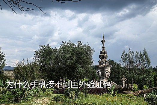 有没有接码可以接淘宝的