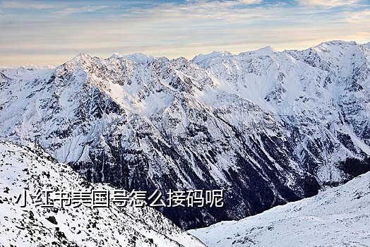 邮箱接码软件推荐苹果版