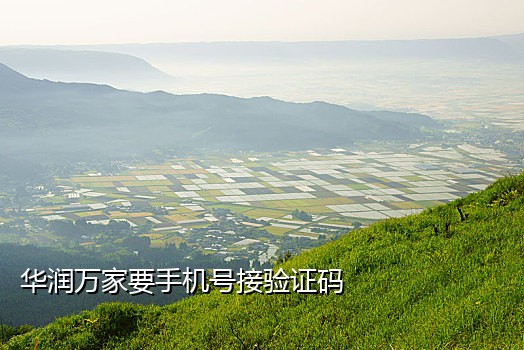 用别人的手机接验证码