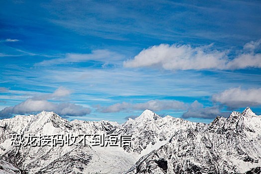 夜神接码短信平台是什么