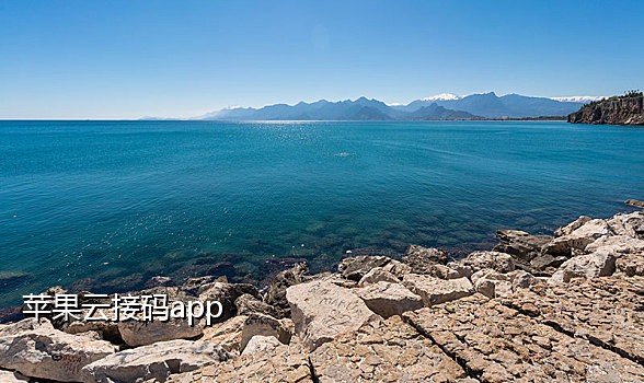 椰子接码助手手机在线下载