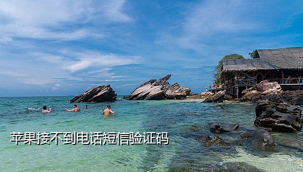 验证接码小手机