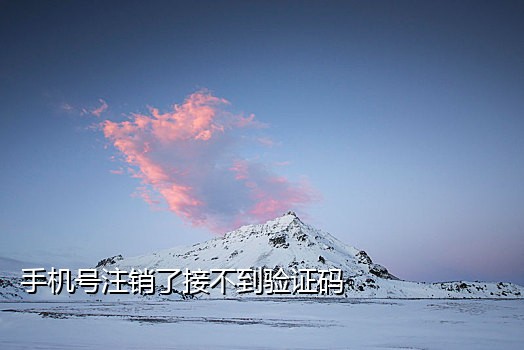 虚拟卡接码短信验证码平
