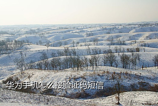 虚拟接码手机安卓版怎么用