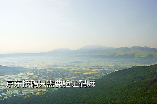 新手机号的接码平台