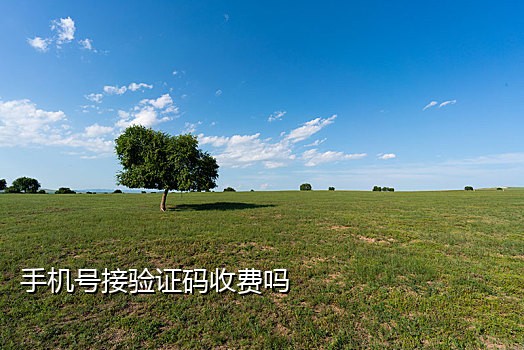 微信验证接码平台