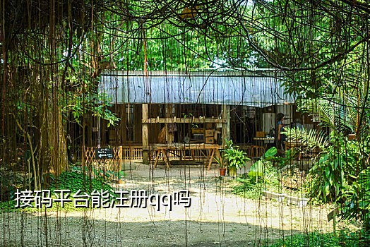 微信接码筛选