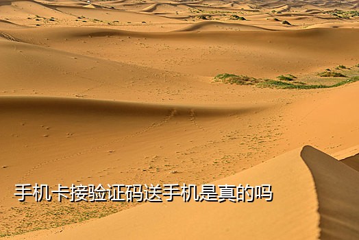 星辰接码饿了么v2.5