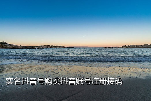 网络短信接码免费版网页