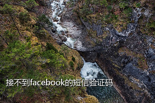 推荐短信接码平台