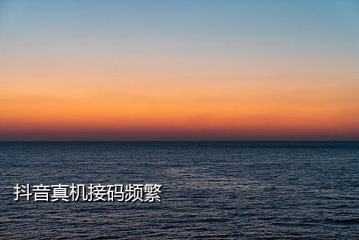 探探接码注册平台