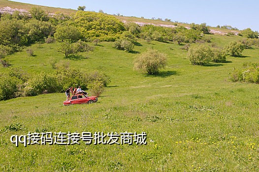 手机语音验证接码平台