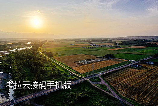 手机验证码接码网站有哪些