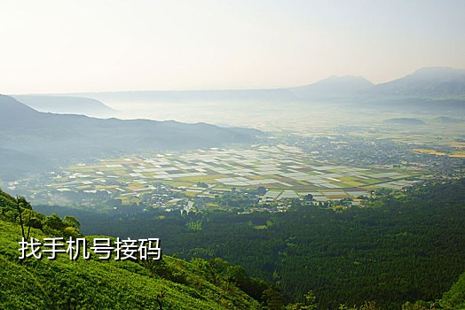 手机免费接码平台官网