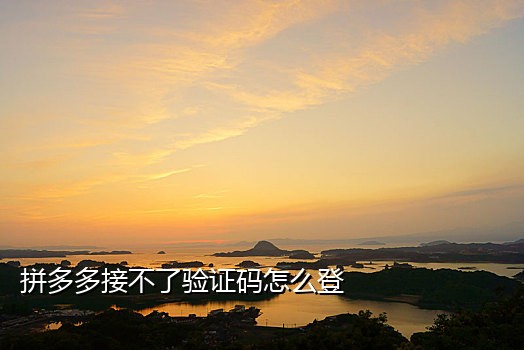 手机漫游接不到验证码