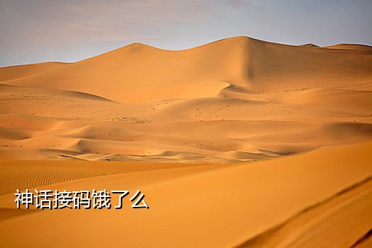 淘码手机接码