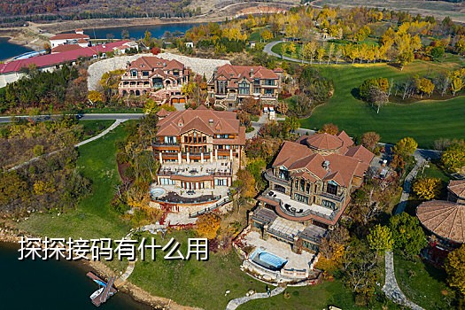 淘码接码平台手机版下载