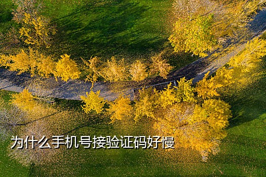 手机卡接不到银行验证码