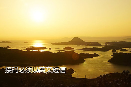 手机号在线接验证码怎么办