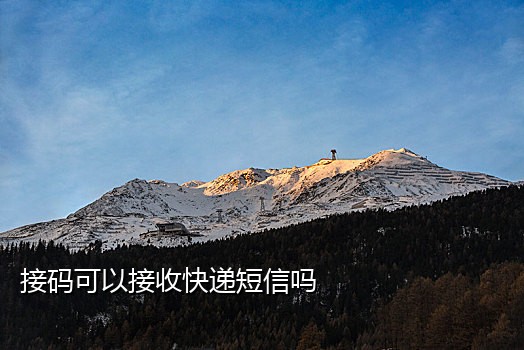 手机号接码诈骗