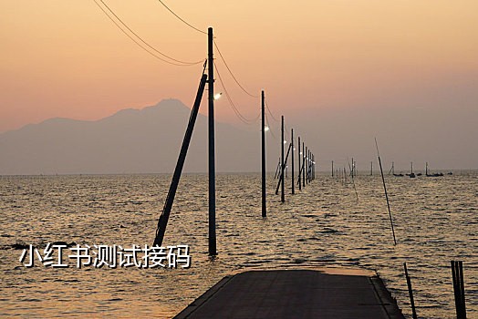 手机号接码短信平台免费