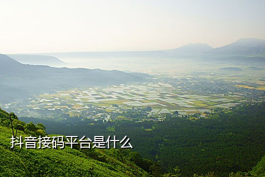 日本手机号接码短信平台