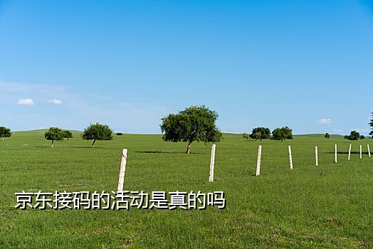 人良土兀免费接码资源百度网盘