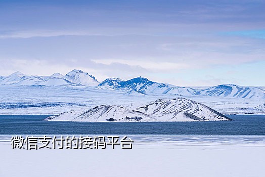 券妈妈优惠券短信接码