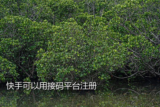 企业微信接码是什么