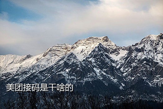 淘宝联盟接码什么意思