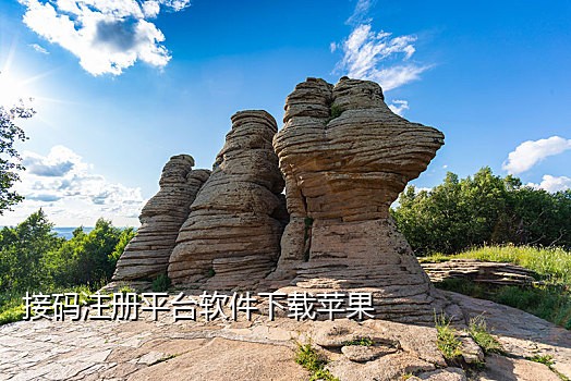 能注册微信的外国手机接码